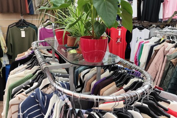 IMG_20251017_123621-Edu-Li-2-1